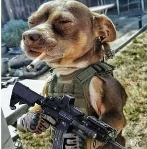 Meet your Posher, Steven